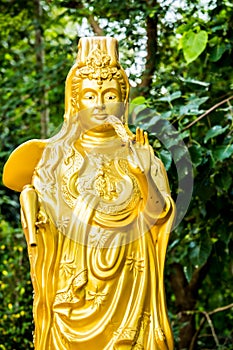 Guan yin statue in chiangmai Thailand