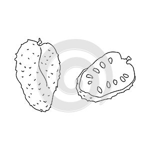 Guanabana fruit, tropical plant sausep, large fruit with seeds coloring page