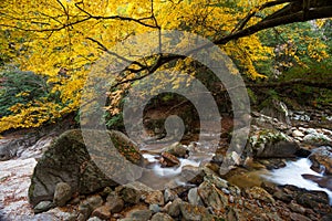 Guangwu mountain in autumn