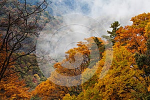 Guangwu mountain in autumn photo
