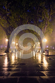 Guangzhou People`s Park with fog at night, China