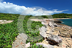 Guanica Reserve - Puerto Rico photo