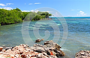 Guanica Reserve - Puerto Rico photo