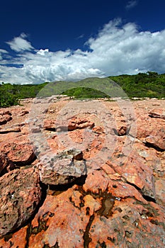 Guanica Reserve - Puerto Rico photo