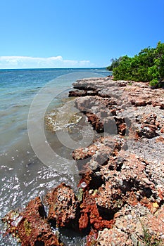 Guanica Reserve of Puerto Rico photo