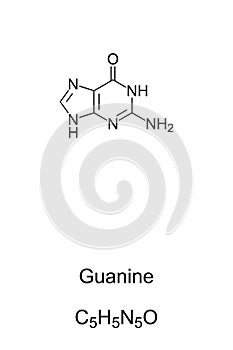 Guanine, G, Gua, nucleobase, chemical formula and skeletal structure photo