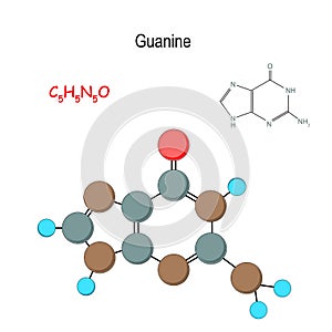 Guanine. Chemical structural formula and model of molecule. C5H5N5O