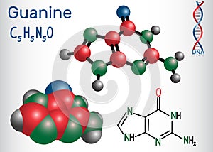 Guanine G, Gua - purine nucleobase, fundamental unit