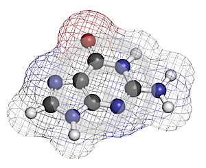 Guanine (G) purine nucleobase molecule. Base present in DNA and RNA. Atoms are represented as spheres with conventional color