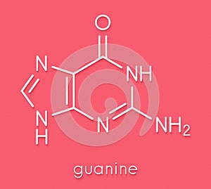 Guanine G purine nucleobase molecule. Base present in DNA and RNA. Skeletal formula.