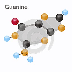 Guanine HexNut, G. Purine nucleobase molecule. Present in DNA. 3D vector illustration on white background