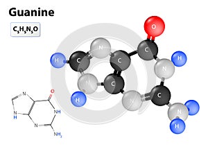 Guanine molecule
