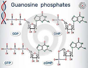 Guanosine phosphates guanosine triphosphate, guanosine diphosph