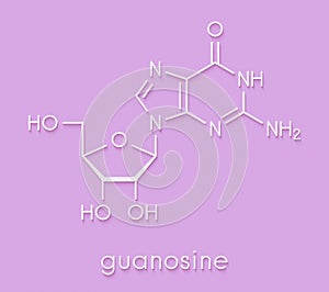 Guanosine purine nucleoside molecule. Important component of GTP, GDP, cGMP, GMP and RNA. Skeletal formula.