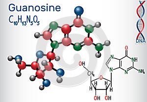 Guanosine - purine nucleoside molecule, is important part of GMP, GDP, cGMP , GTP, RNA, DNA. Structural chemical formula and mole