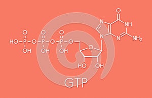 Guanosine triphosphate GTP RNA building block molecule. Also used as energy transport molecule and in signal transduction..