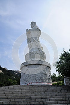 Guanyin Buddha Qingdao China