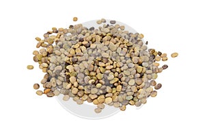 The guar or cluster bean seeds photo