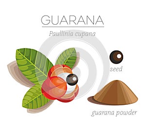 Guarana