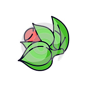 Guarana RGB color icon