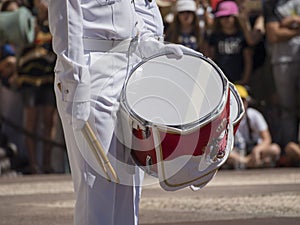Guard change at Prince's Palace of Monaco photo
