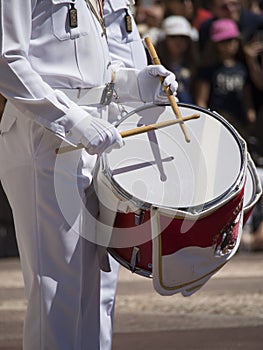 Guard change at Prince's Palace of Monaco photo
