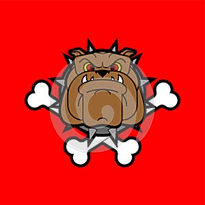 Guard dog crossbones. Angry dog head sign. vector illustration