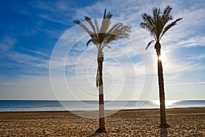 Guardamar del Segura Centre beach Spain photo