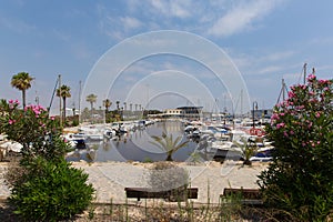 Guardamar del Segura marina Dunas with boats and yachts and pink flowers Spain photo