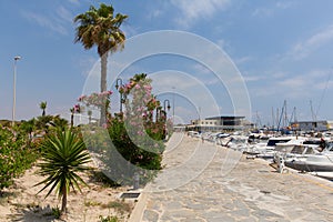 Guardamar Marina de las Dunas with boats and palm trees Spain photo