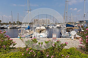 Guardamar Marina de las Dunas with boats and yachts and pink flowers Spain photo