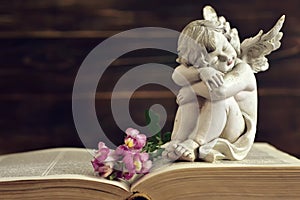 Guardian angel and dragon flowers on old book
