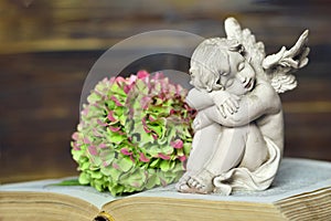 Guardian angel and hydrangea flower