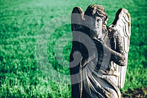 Guardian angel over green field background religions and cultures - intentional filtered image style