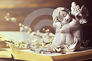 Guardian angel and spring branches on the book