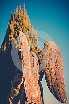 Guardian angel statue and tree rear view vintage style