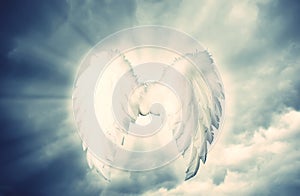 Guardian Angel white wings over dramatic grey with light.