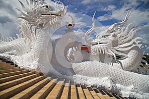 Guardian Dragons at Wat Huay Pla Kang