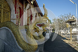 Guardian dragons at Wat Jed Yod, Chiang Rai, Thailand