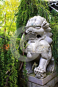 Guardian of the Garden Stone Lion Statue Amidst Verdant Foliage photo