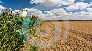 Scarecrow in the fields of Vexin FranÃÂ§ais