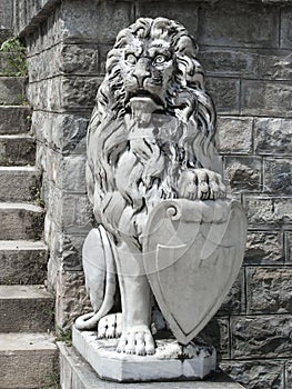 The guardian lion photo