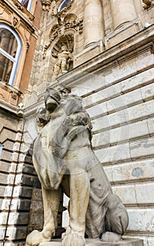 Guardian lion of Buda Castle, Budapest, Hungary