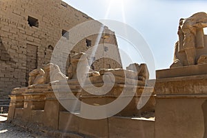 Guardian of the Nile: Sphinx of Karnak photo