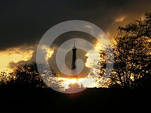 The guardian of the Tower photo