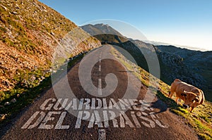 Guardianes del Pariaiso Guardians of Paradise, high mountain road photo
