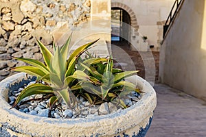 Guardias Viejas castle, internal courtyard. Almeria Spain photo