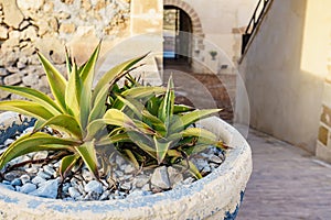 Guardias Viejas castle, internal courtyard. Almeria Spain photo