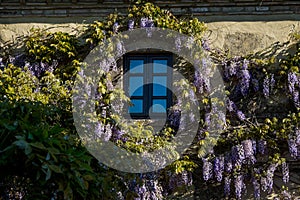 GUARDISTALLO, Pisa, Italy - Historic Tuscany hamlet