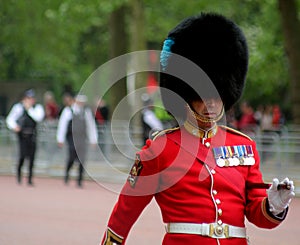 Guardsman